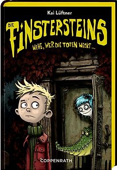 Die Finstersteins (Bd. 1)