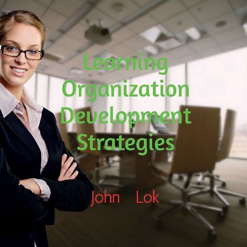 Learning Organization Development Strategies