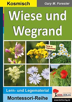 Wiese und Wegrand