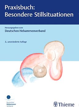 Praxisbuch: Besondere Stillsituationen