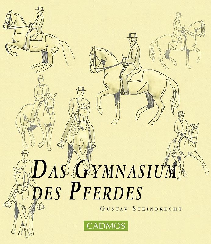 Das Gymnasium des Pferdes