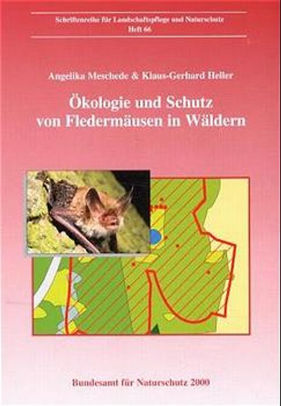 Ökologie und Schutz von Fledermäusen in Wäldern