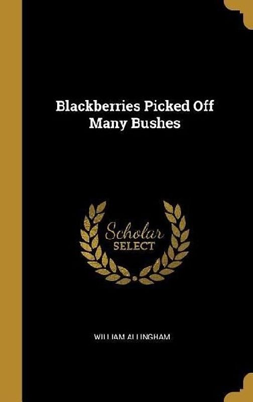 Blackberries Picked Off Many Bushes