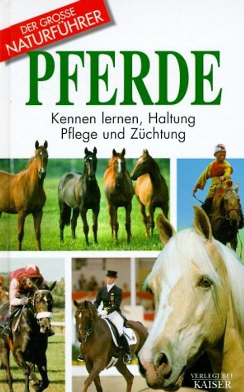 Pferde