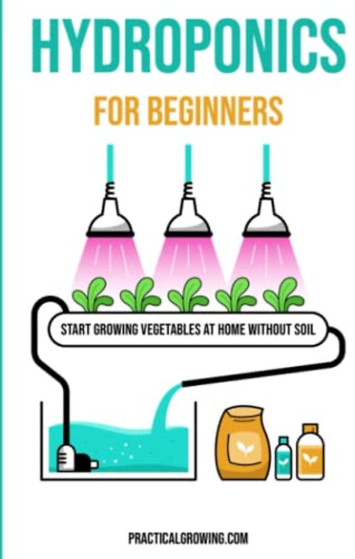 Hydroponics for Beginners: Start Growing Vegetables at Home Without Soil