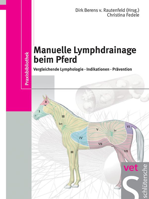 Manuelle Lymphdrainage beim Pferd