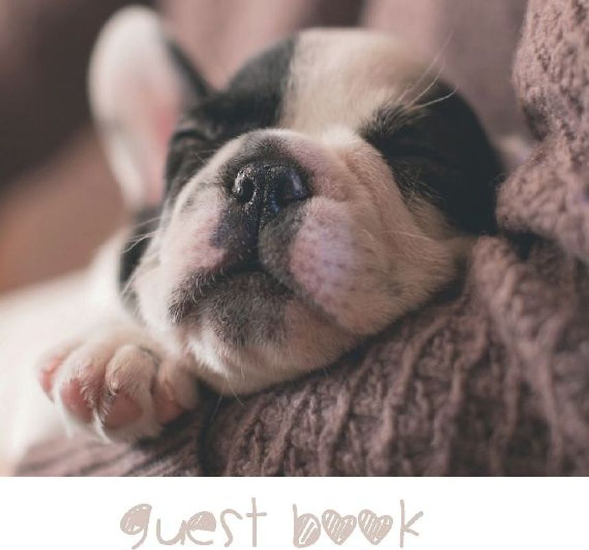 Guest Book, Visitors Book, Guests Comments, Vacation Home Guest Book, Holiday Home, Beach House Guest Book, Comments Book, Visitor Book, Neutral Guest Book, Bed & Breakfast, Retreat Centres, Family Holiday Guest Book (Hardback)