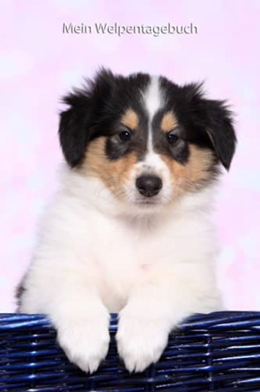 Mein Welpentagebuch: die ersten Monate mit meinem Collie - 120 Seiten - zum Eintragen - Erinnerungen festhalten (Amerikanischer Collie - alle Bücher: ... BARF Planer und Welpentagebuch, Band 3)