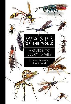 Wasps of the World