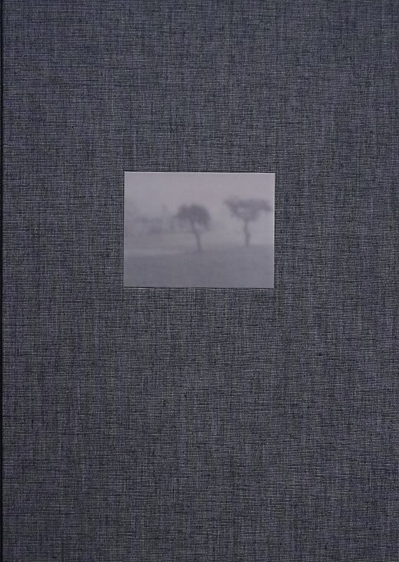 Halb geöffnete Fenster