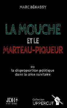 La mouche et le marteau-piqueur