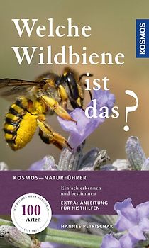 Welche Wildbiene ist das?