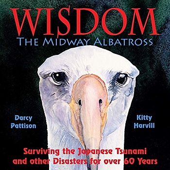Wisdom, The Midway Albatross: Surviving the Japanese Tsunami and other Disasters for over 60 Years (Another Extraordinary Animal, Band 1)