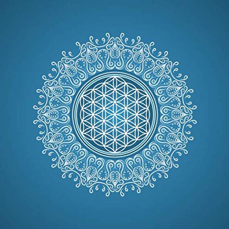 Blume des Lebens Mandala: Ein Buch für mehr Achtsamkeit und Bewusstsein im Leben (Bullet Journal – Blume Des Lebens, Band 8)