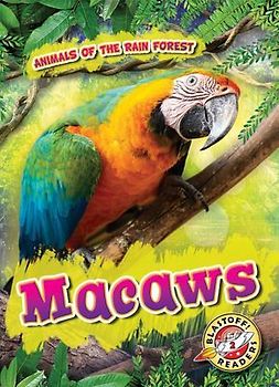 Macaws