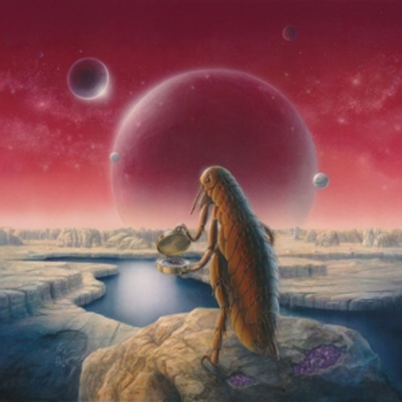 Claypool Lennon Delirium,The - South Of Reality