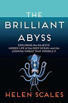 The Brilliant Abyss