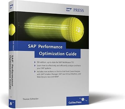 SAP Performance Optimization Guide