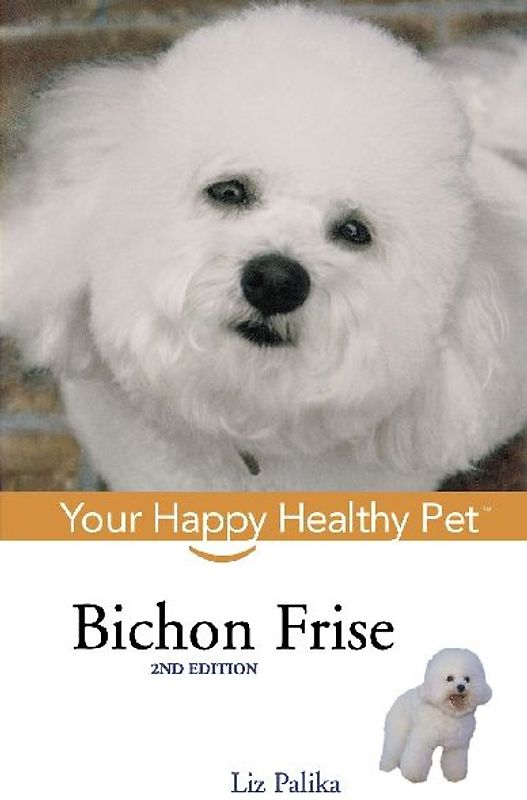 Bichon Frise