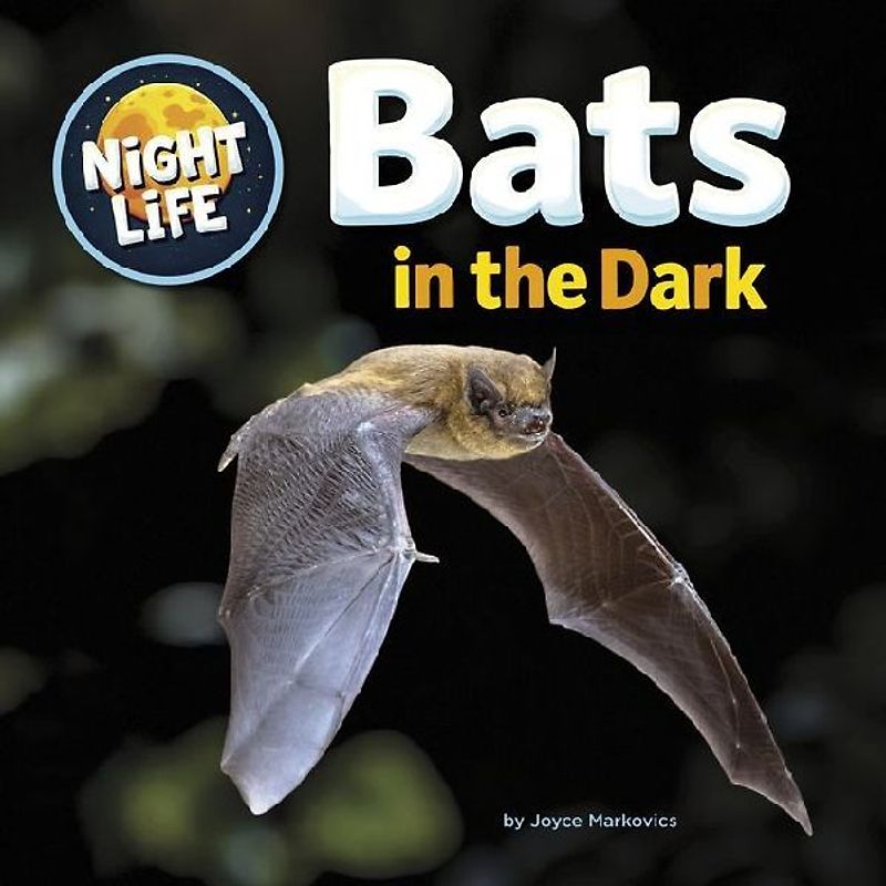 Bats in the Dark