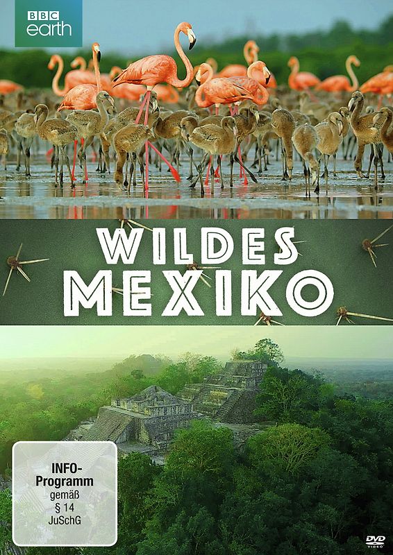 Wildes Mexiko DVD