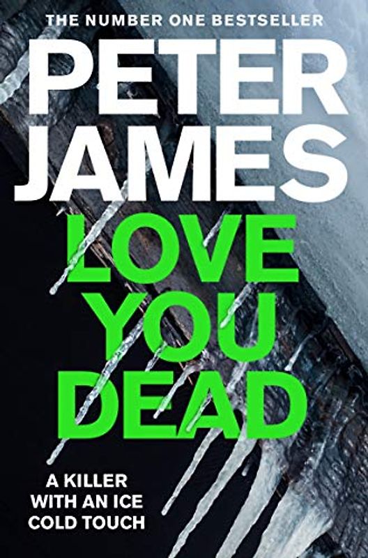 Love You Dead: A Roy Grace Novel: 12 (Roy Grace, 12)