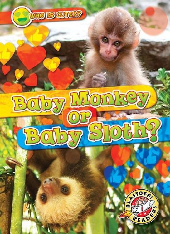Baby Monkey or Baby Sloth?