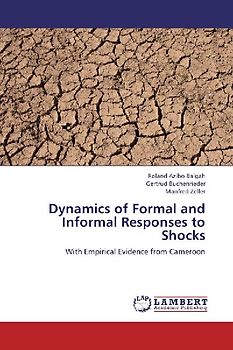 Dynamics of Formal and Informal Responses to Shocks