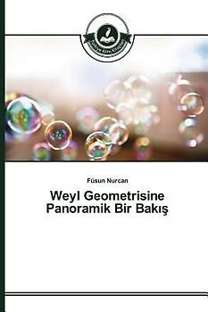 Weyl Geometrisine Panoramik Bir Bak¿¿