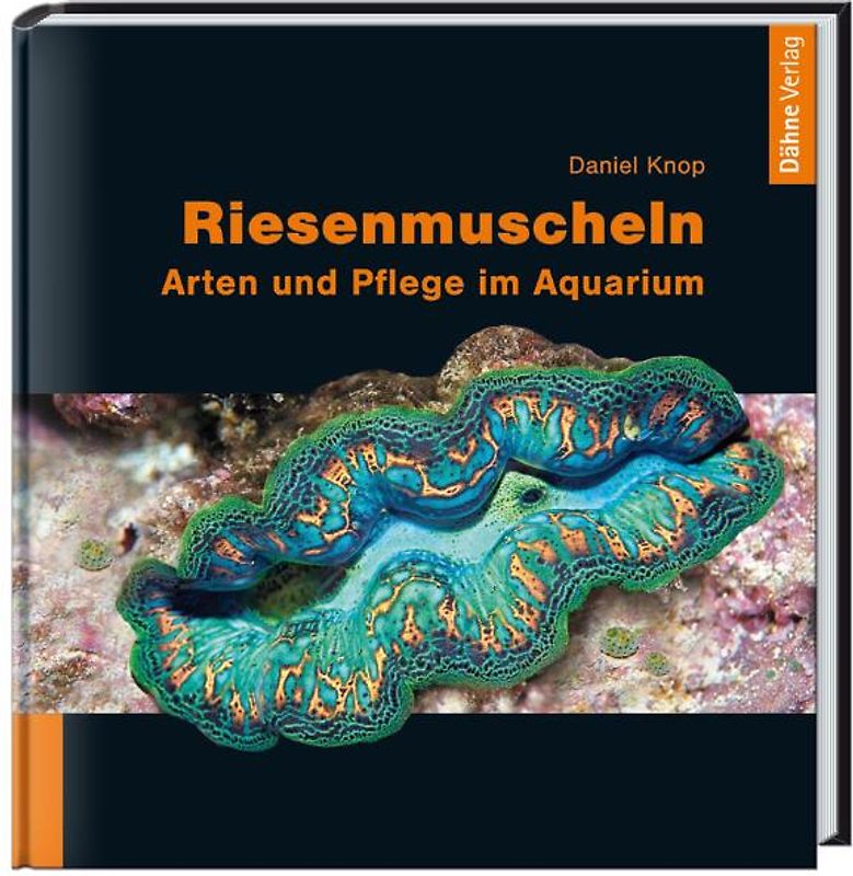 Riesenmuscheln