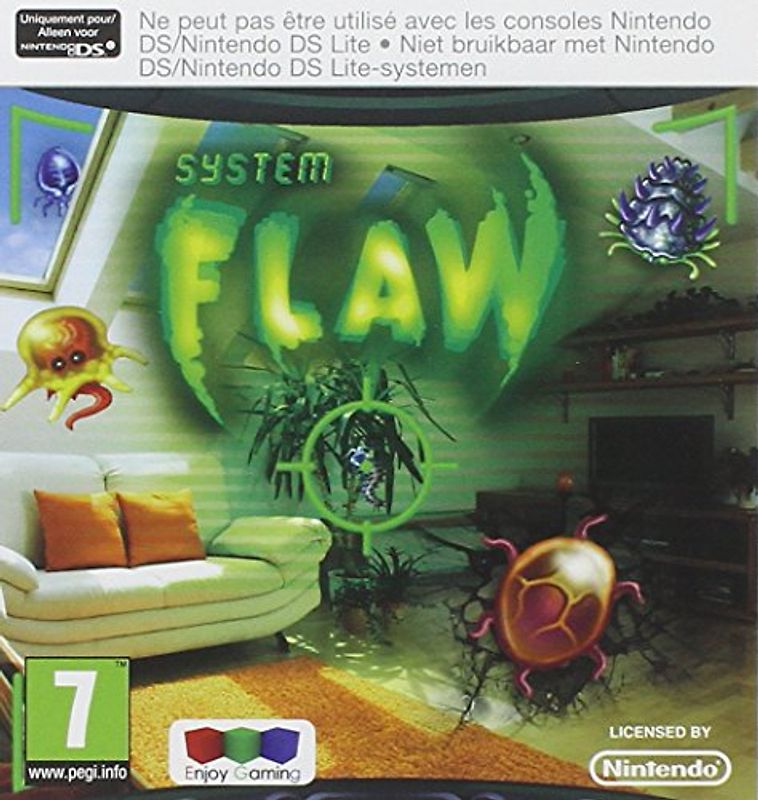 System Flaw Nintendo DS