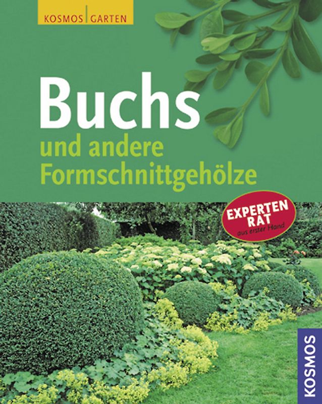 Buchs und andere Formschnittgehölze