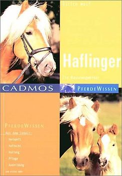 Haflinger
