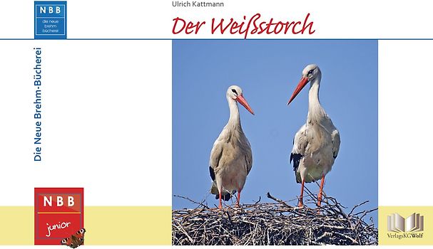 Der Weißstorch