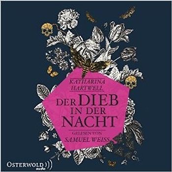 Der Dieb in der Nacht