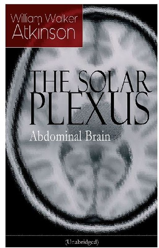 THE SOLAR PLEXUS - Abdominal Brain