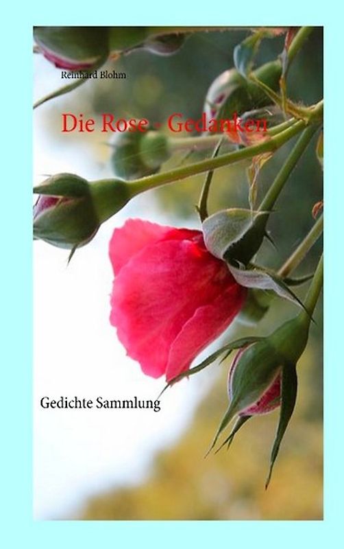Die Rose - Gedanken