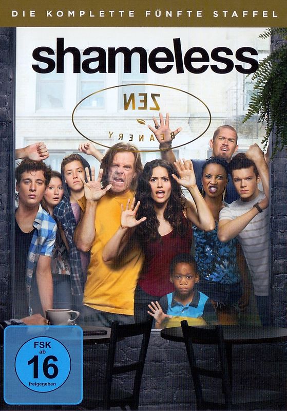 Shameless - Die komplette fünfte Staffel [3 Discs] DVD