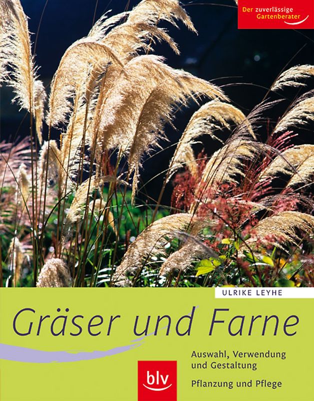 Gräser und  Farne