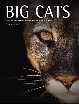 Big Cats