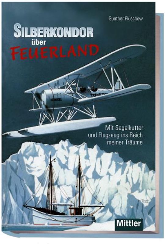 Silberkondor über Feuerland