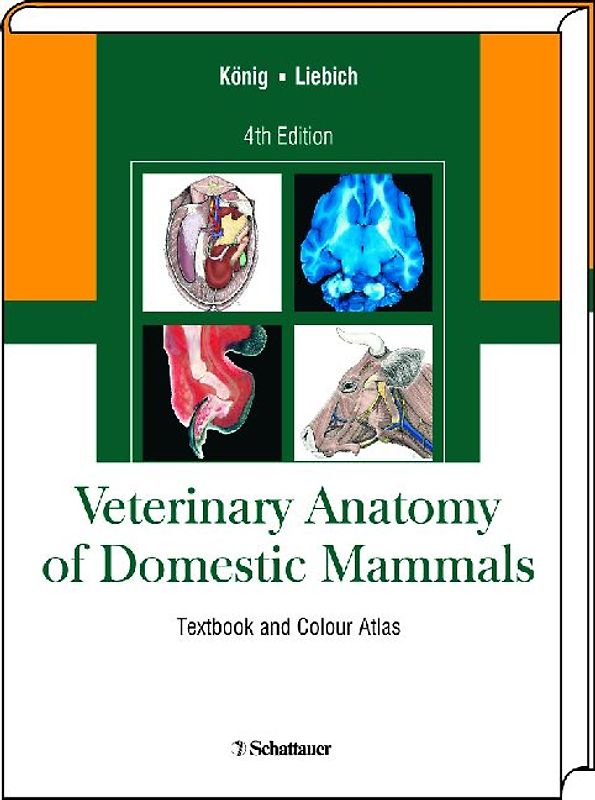 Veterinary Anatomy of Domestic Mammals