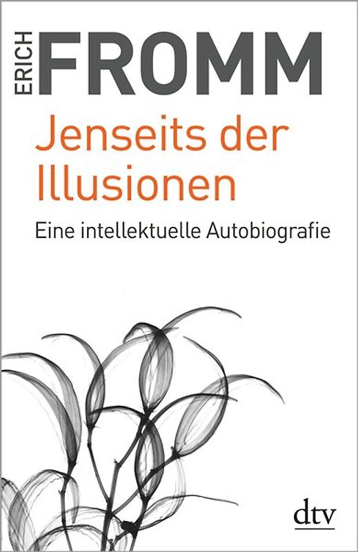 Jenseits der Illusionen
