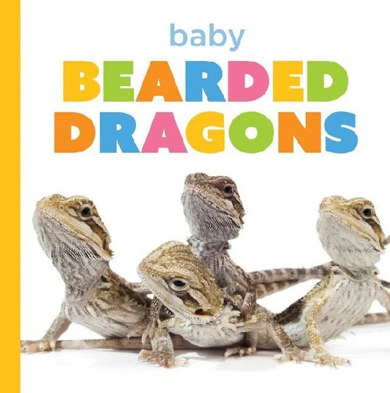 Baby Bearded Dragons