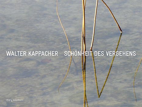 Schoenheit des Vergehens