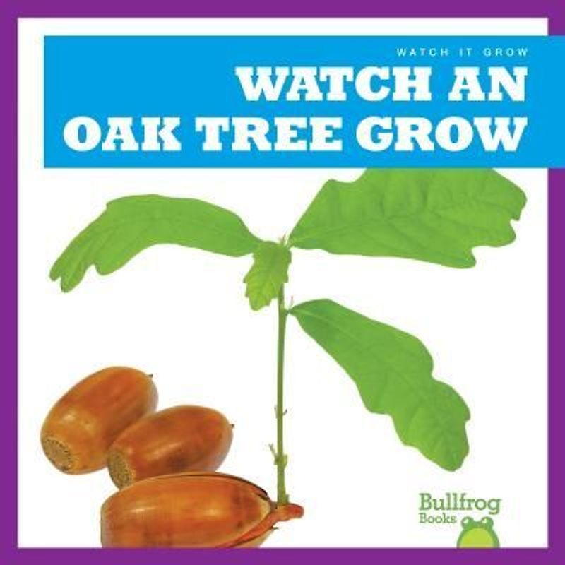 Watch an Oak Tree Grow