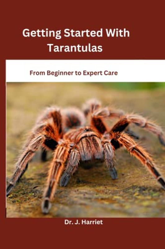 Getting Started With Tarantulas: From Beginner to Expert Care