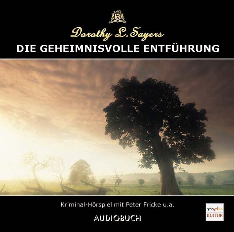 Die geheimnisvolle Entführung (CD)