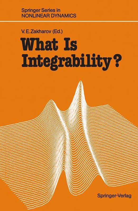 What Is Integrability?