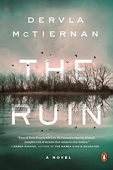 The Ruin: A Novel (A Cormac Reilly Mystery, Band 1)